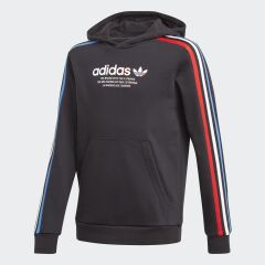 Adidas Originals Genç Kapişonlı Adicolor GN7496