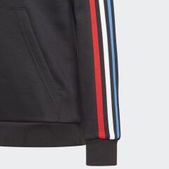 Adidas Originals Genç Kapişonlı Adicolor GN7496