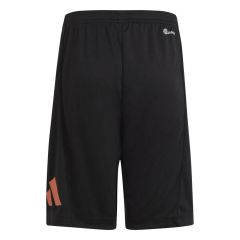 Adidas Children's shorts Train Essentials Aeroready Logo IC5658
