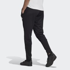 Adidas Erkek Futbol Eşofman Altı Tan Tr Pant FM0887