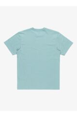 Quiksilver Aquıfer Ev Mını Logo Ss Erkek Tişört Yeşil EQYZT08042-18289