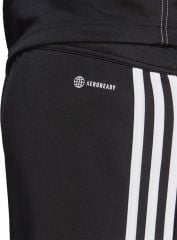adidas TIRO23 Cb Trpnt Erkek Eşofman Altı HS3619