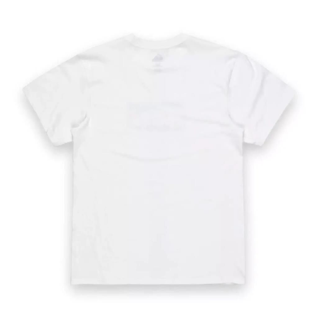 Quiksilver Ev Gradıent Box Ss Erkek Tişört Beyaz EQYZT08045-908