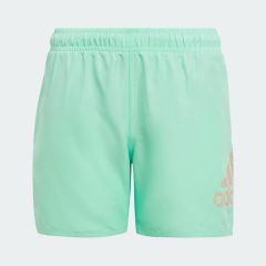 adidas Logo CLX Swim Shorts IC7697