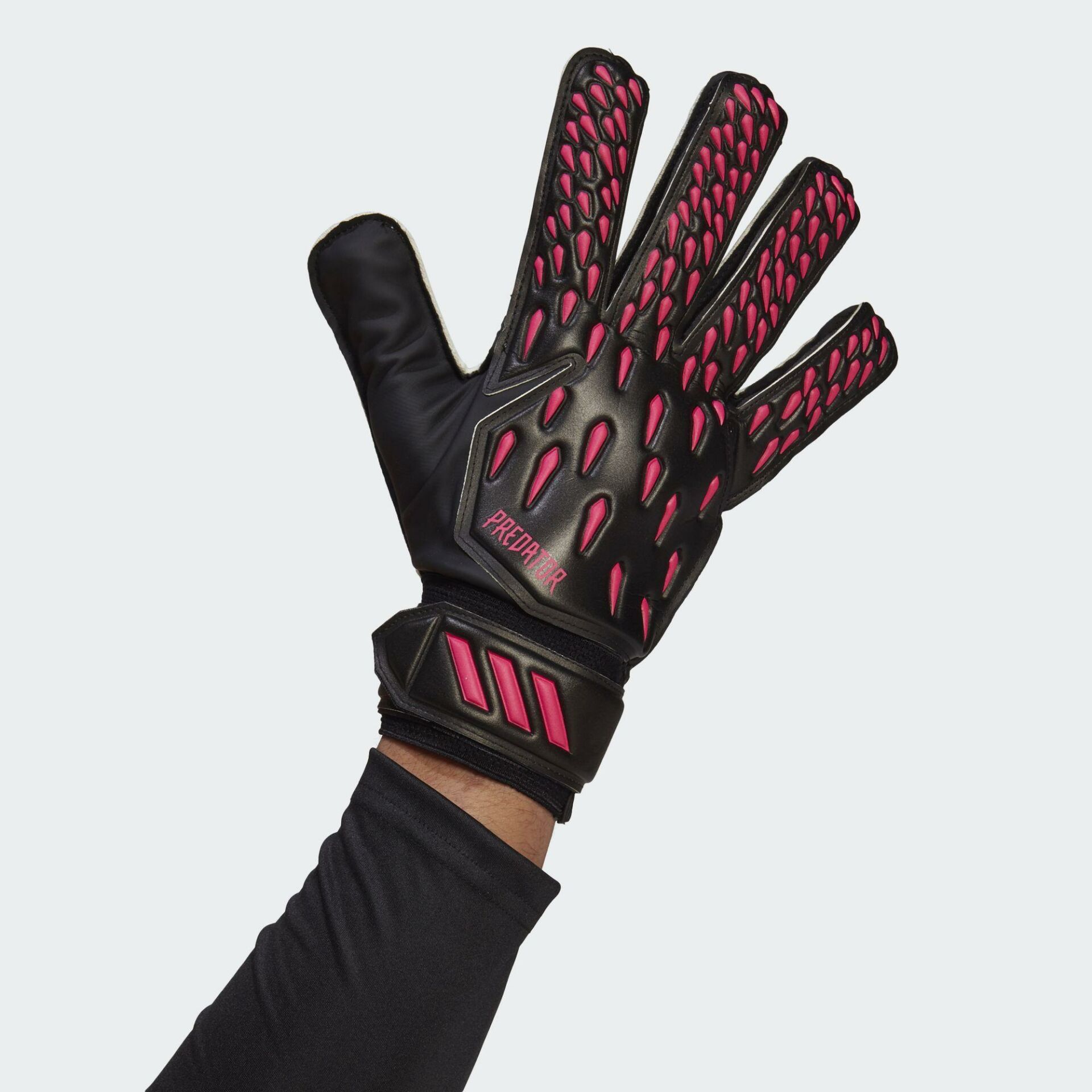 Adidas Predator Training Erkek Siyah Kaleci Eldiveni GK7467