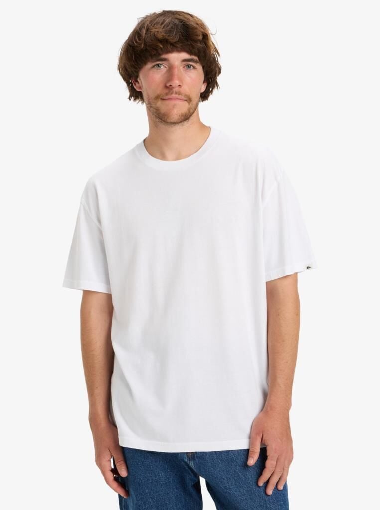 Quicksilver Salt Water - Short Sleeve Beyaz Erkek T-Shirt - EQYZT08204 WBB0