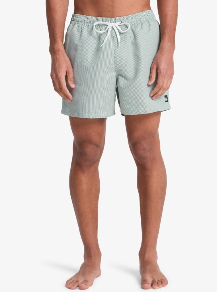 Quicksilver Everyday Deluxe 15 Erkek Havuz Şortu - EQYJV04101 GRT0
