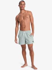 Quicksilver Everyday Deluxe 15 Erkek Havuz Şortu - EQYJV04101 GRT0