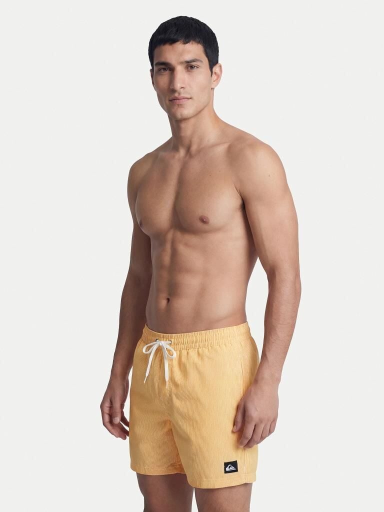 Quicksilver Everyday Deluxe 15 Erkek Havuz Şortu - EQYJV04101 3091