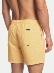 Quicksilver Everyday Deluxe 15 Erkek Havuz Şortu - EQYJV04101 3091