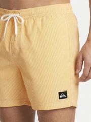 Quicksilver Everyday Deluxe 15 Erkek Havuz Şortu - EQYJV04101 3091