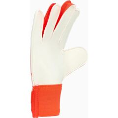 adidas Predator Training Çocuk Kaleci Eldiveni Mor IX3872