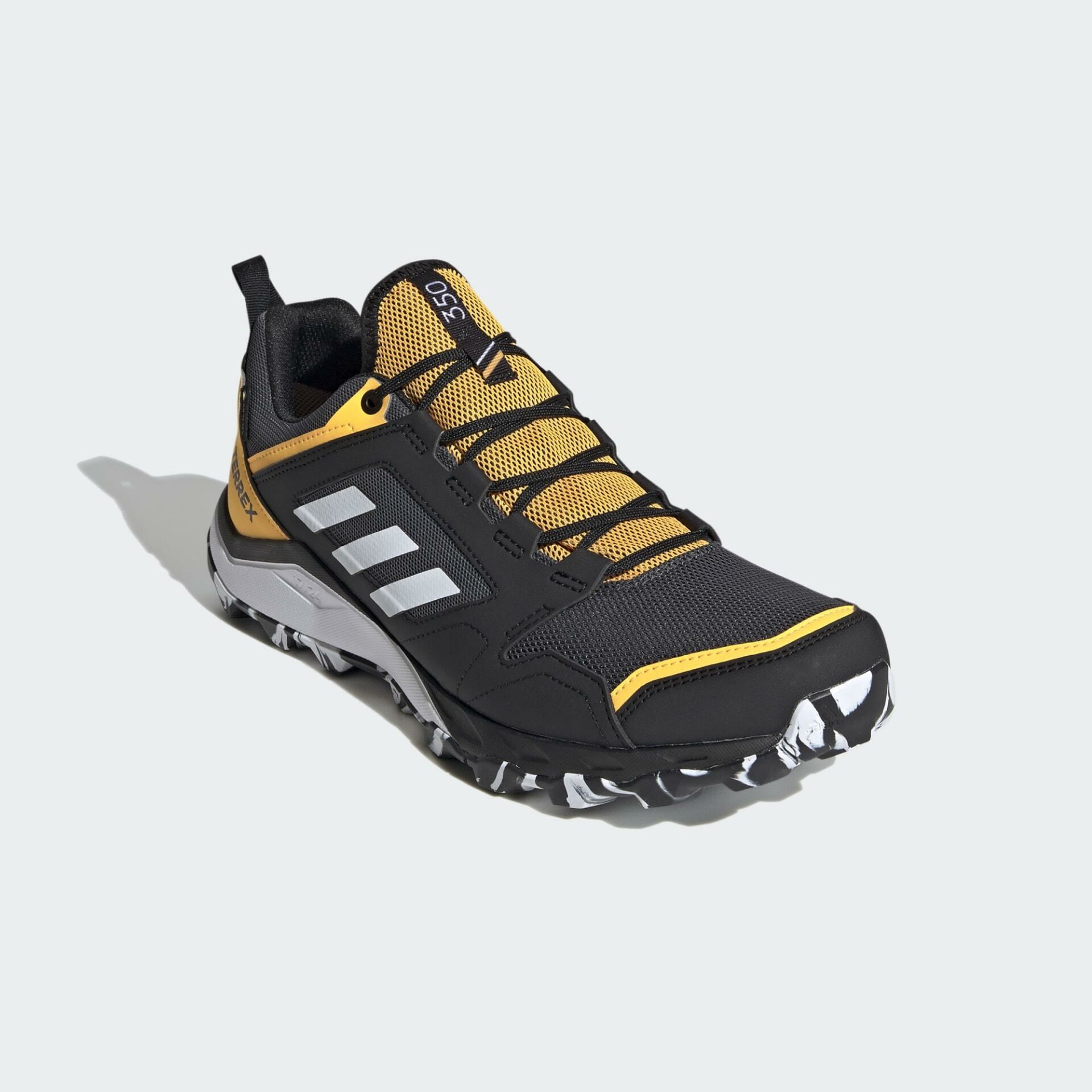 Adidas Terrex Agravic TR Gore-Tex Erkek Spor Ayakkabı FV2417