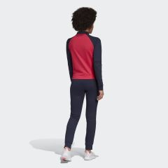 Adidas GD4411 WTS New CO Mark Kadın Eşofman Takımı