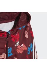 Adidas Fı Shiny Çocuk Eşofman Takımı H65808