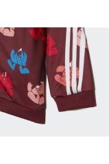 Adidas Fı Shiny Çocuk Eşofman Takımı H65808