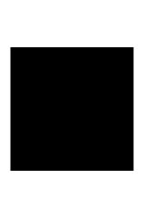 Puma Roma Basic Unisex Ayakkabısı