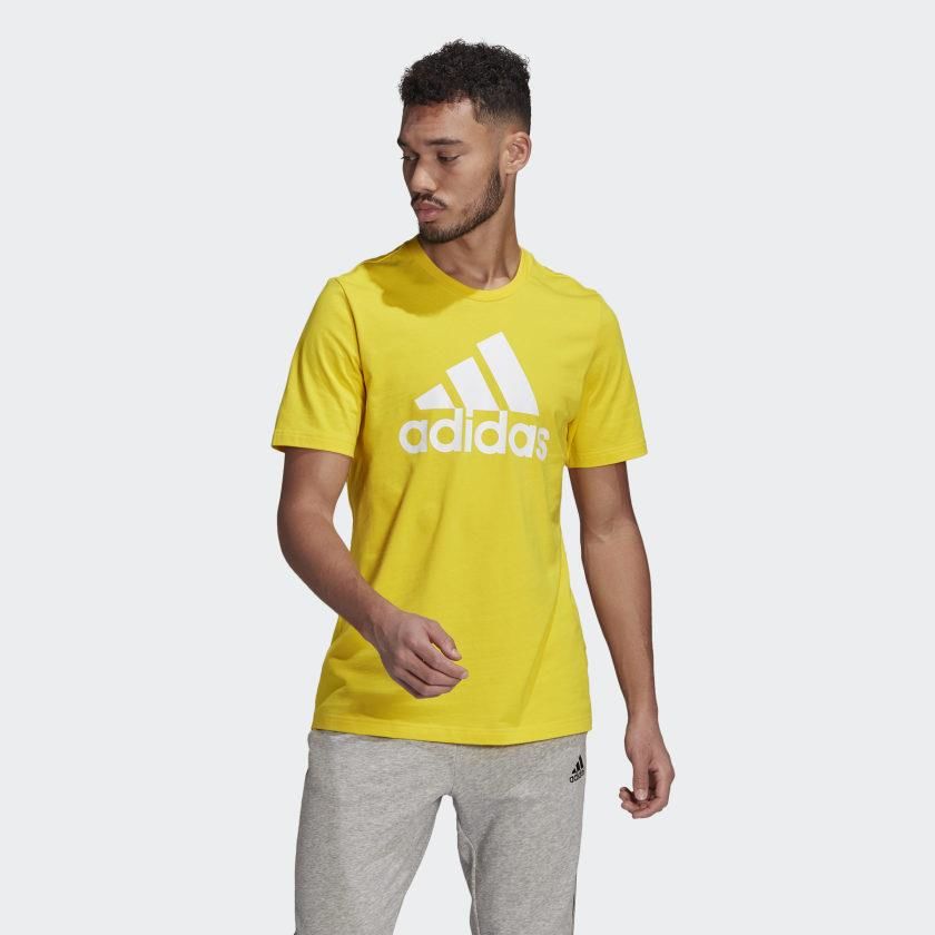 Adidas Essentials Big Logo Erkek Tişört GM3248