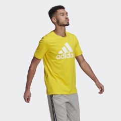 Adidas Essentials Big Logo Erkek Tişört GM3248